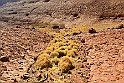 Uluru 12-28-19 (115)