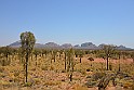 Uluru 12-28-19 (141)