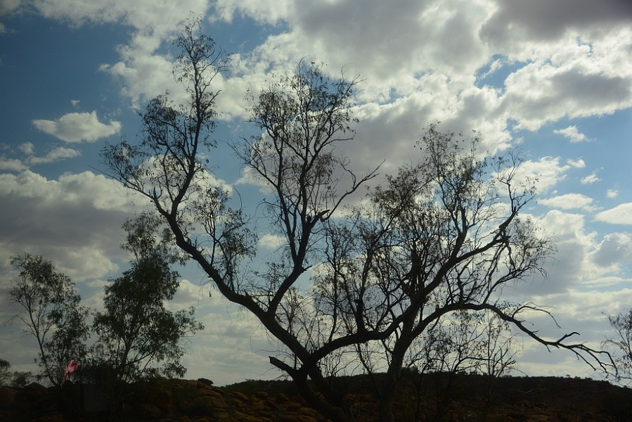 AliceSprings 12-29-19 (61)