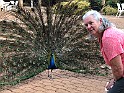 AliceSprings 12-30-19 (34)